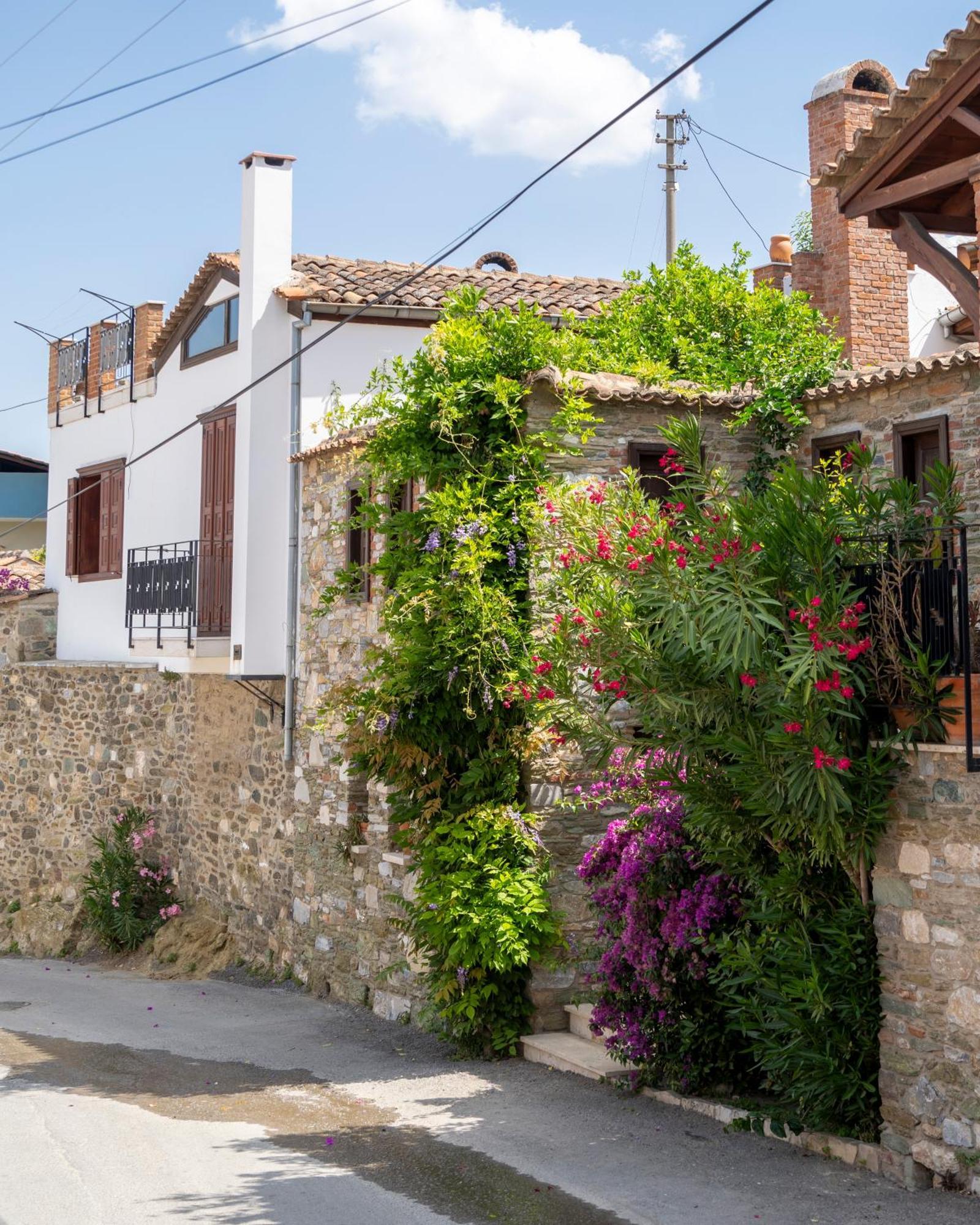 Ionia House Villa Selçuk Dış mekan fotoğraf